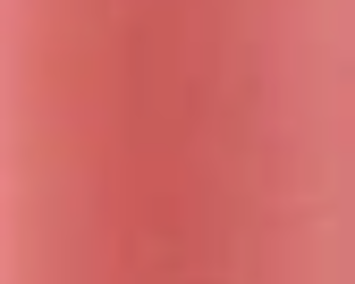 LIP VENEER CREAM GLOSS