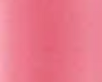 LIP VENEER CREAM GLOSS