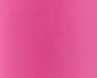 LIP VENEER CREAM GLOSS