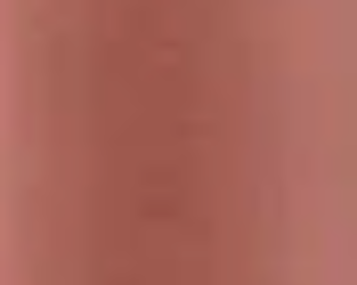 LIP VENEER CREAM GLOSS