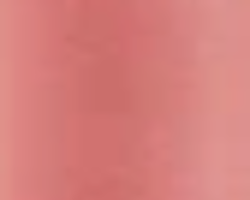 LIP VENEER CREAM GLOSS