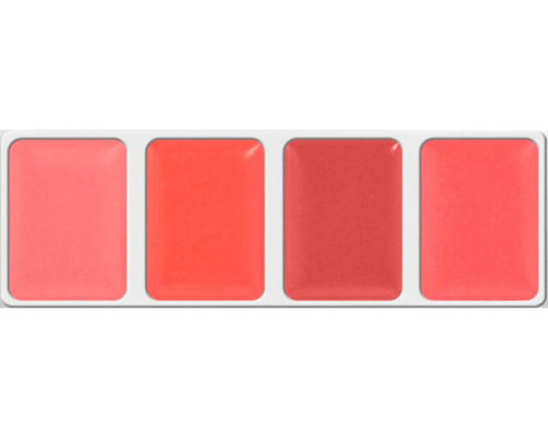 LIP POUDRE PALETTE