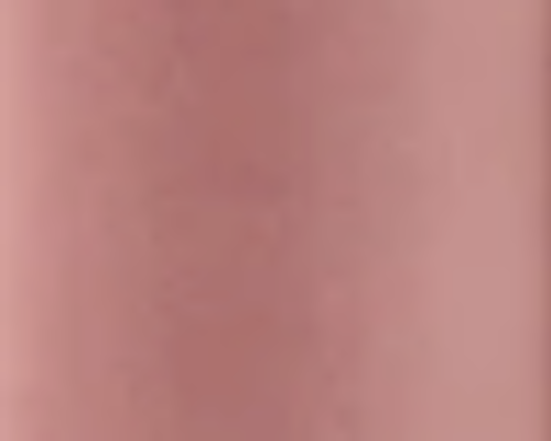 LIP VENEER CREAM GLOSS