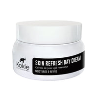 SKIN REFRESH DAY CREAM