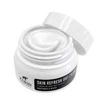 SKIN REFRESH DAY CREAM