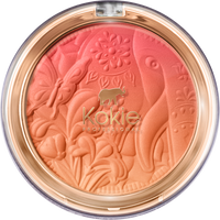 SOFT GRADIENT BLUSH