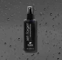 SET & FORGET LONG LASTING MAKEUP SPRAY