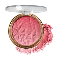 SOFT GRADIENT BLUSH