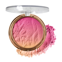 SOFT GRADIENT BLUSH