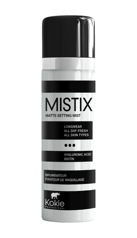 MISTIX SETTING SPRAY
